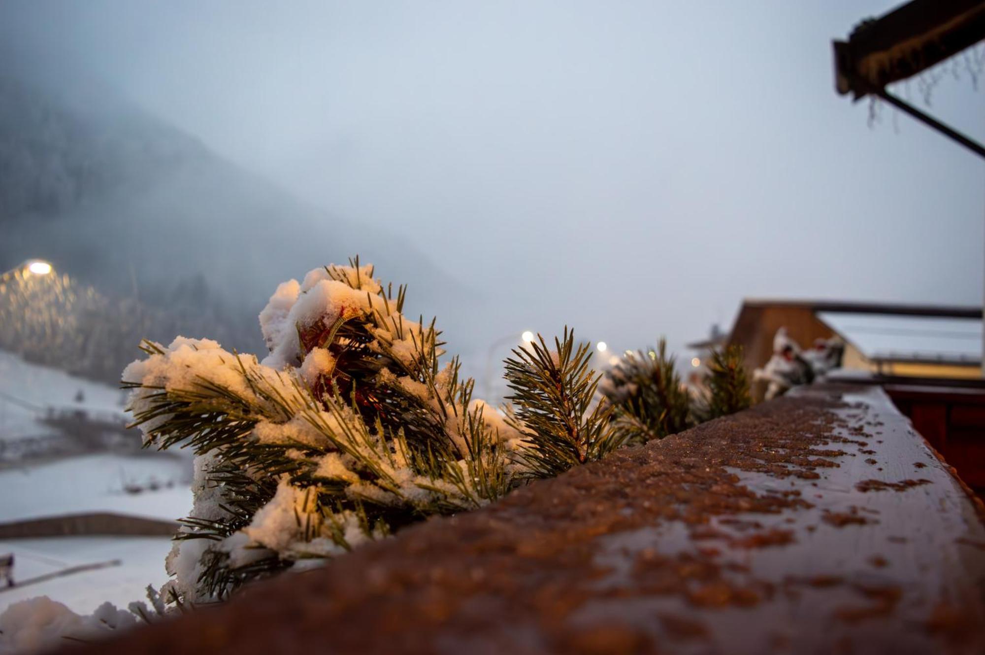 Albergo Serena Auronzo di Cadore Esterno foto